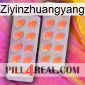 Ziyinzhuangyang 27
